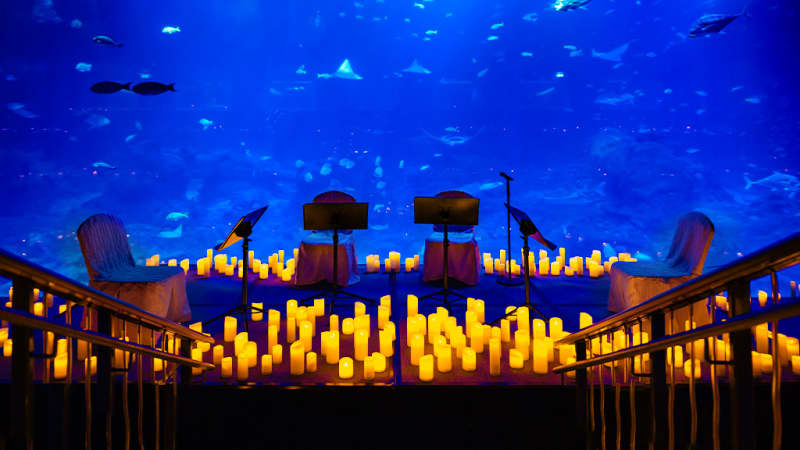 Singapore Oceanarium