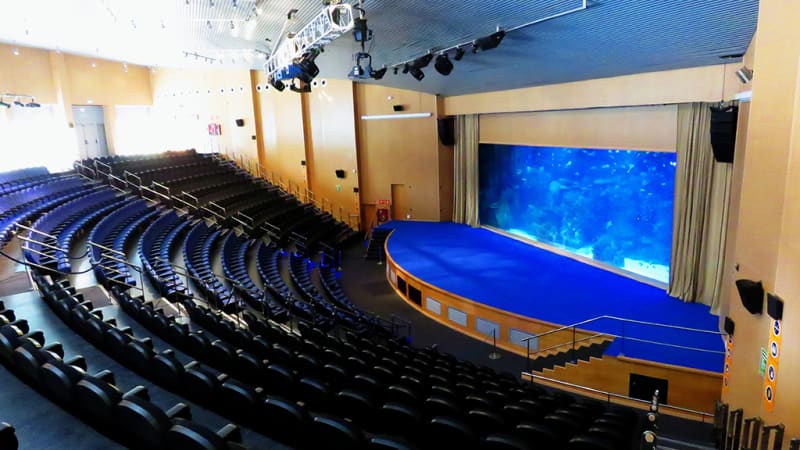 Auditorio Mar Rojo - Oceanogràfic València
