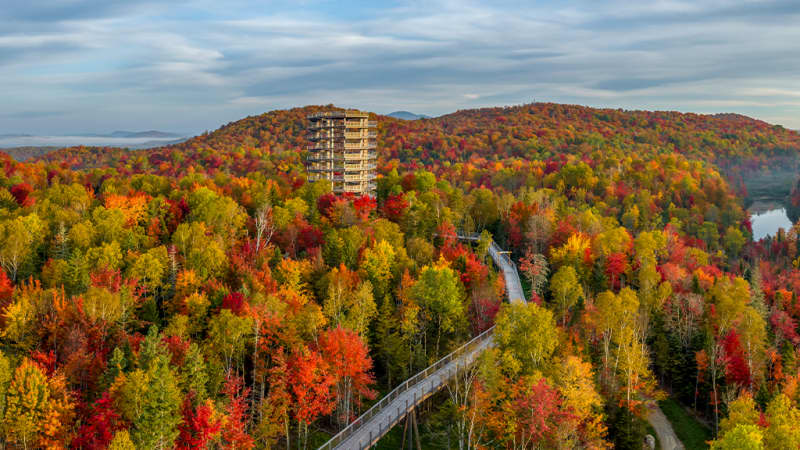 Sentier des cimes Laurentides