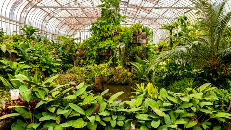 São Paulo Botanical Garden