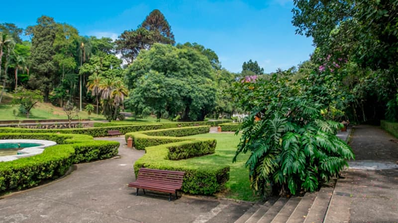 São Paulo Botanical Garden