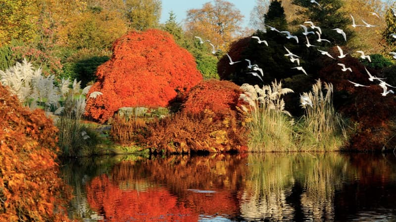 Kew Wakehurst