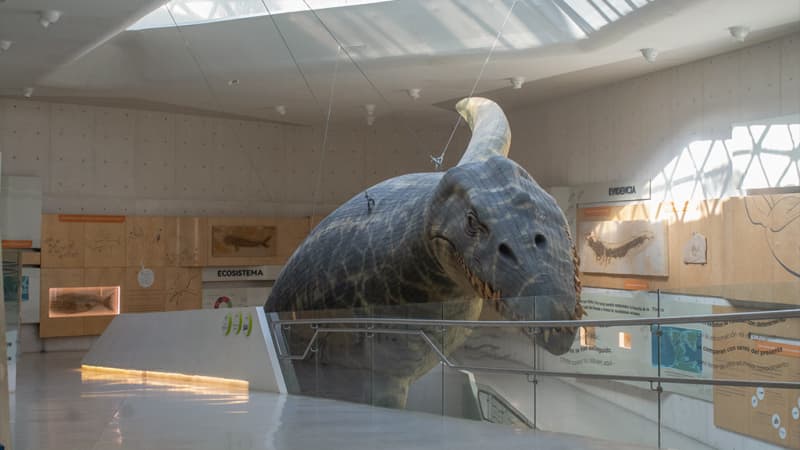 Papalote Museo del Niño-Monterrey
