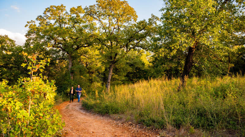 McKinney Roughs Nature Park