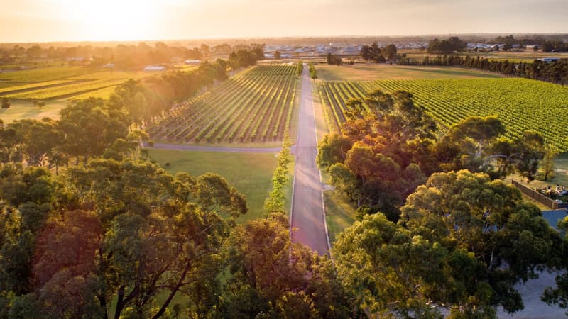 Sandalford Wines