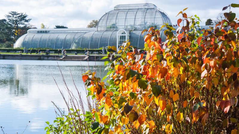 Royal Botanic Gardens, Kew