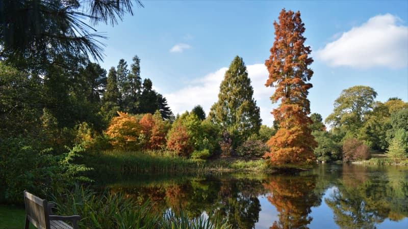 Royal Botanic Gardens, Kew