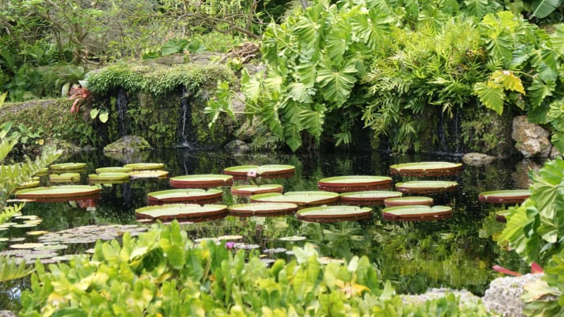 Fairchild Tropical Botanic Garden