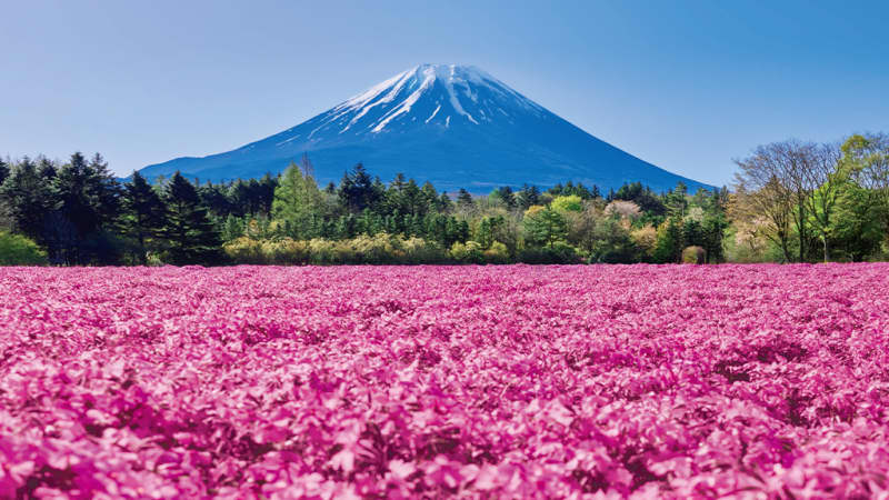 富士本栖湖リゾート