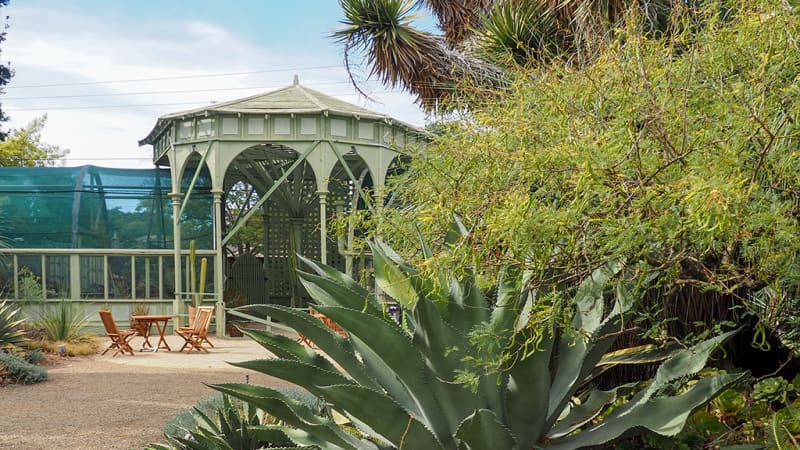 The Ruth Bancroft Garden & Nursery
