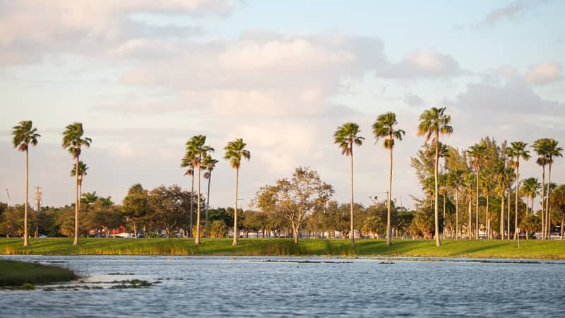 Tropical Park