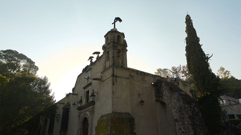 Museo Dolores Olmedo