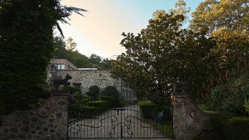 Museo Dolores Olmedo