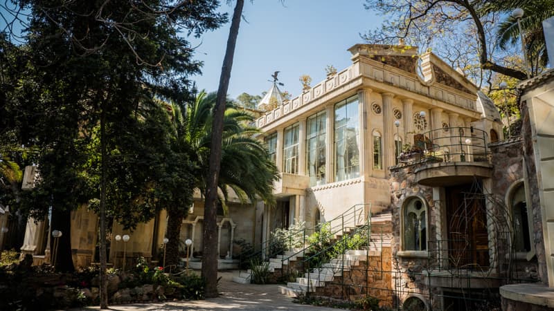 Shepstone Gardens