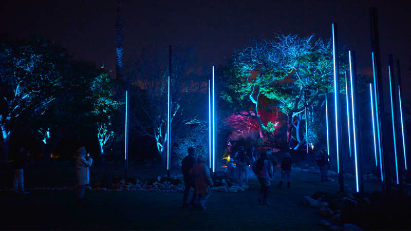 South Coast Botanic Garden