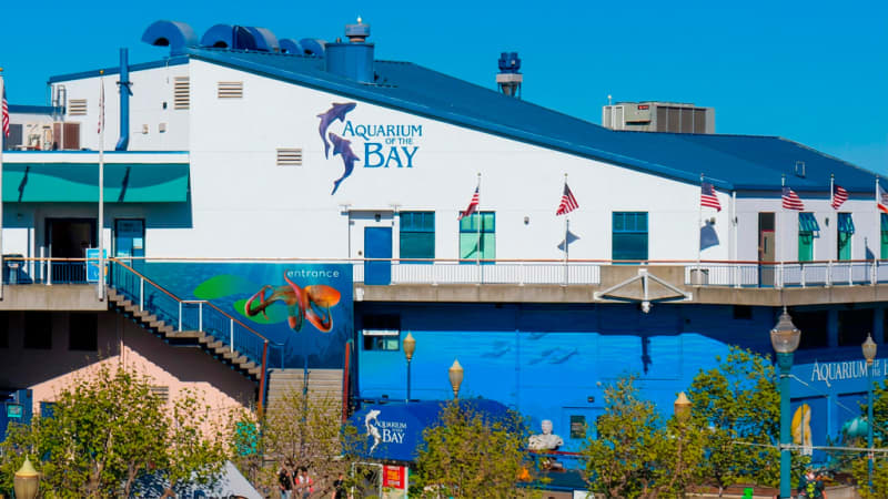 Aquarium of the Bay