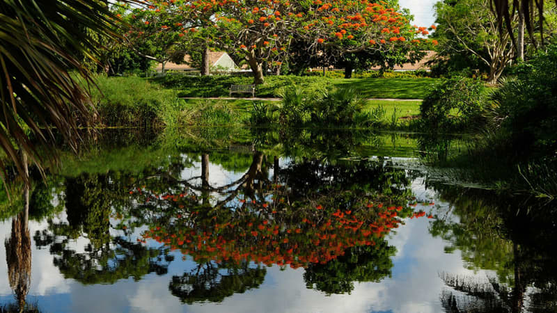 Mounts Botanical Garden