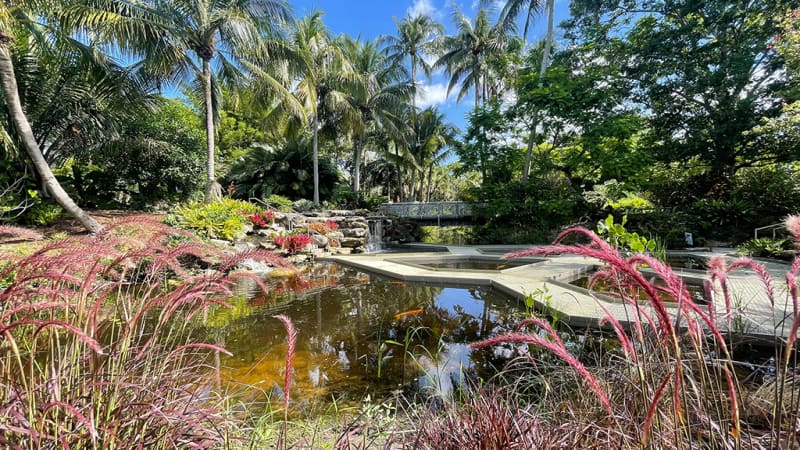 Mounts Botanical Garden