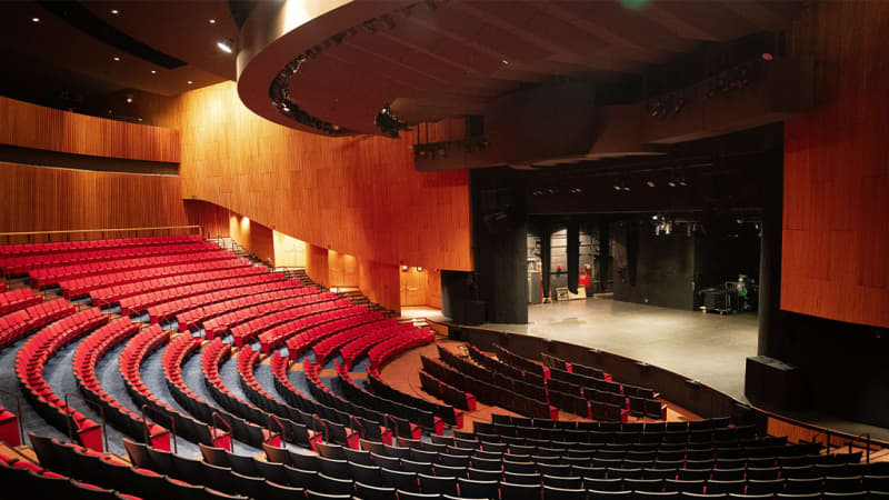 The Egg - Swyer Theatre