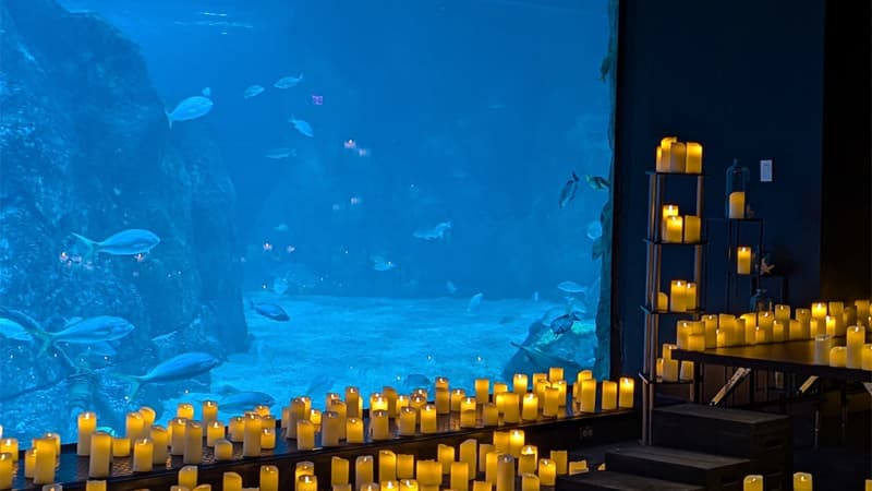 Sea Life Melbourne Aquarium