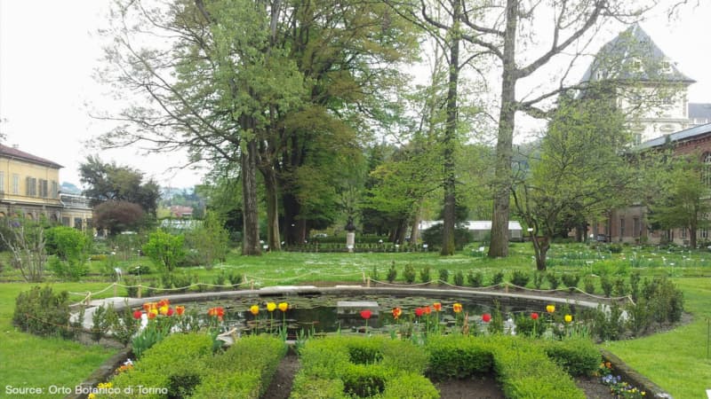 Orto Botanico di Torino