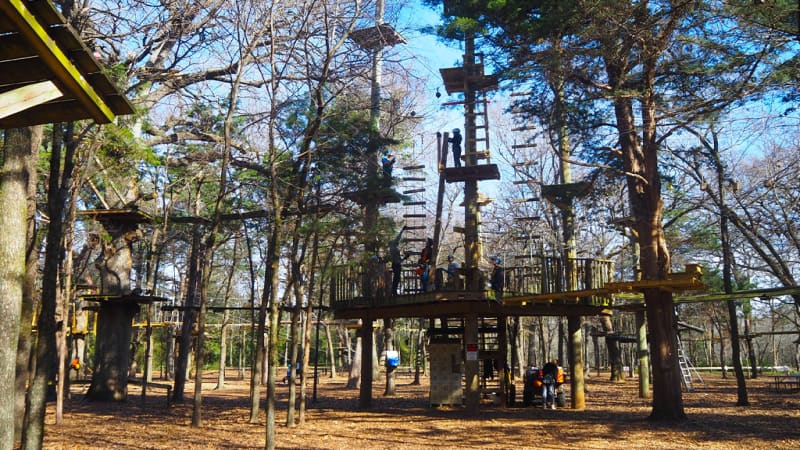 Trinity Forest Adventure Park