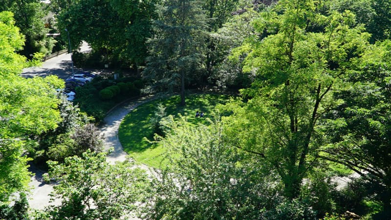 Jardin des Plantes de Montauban