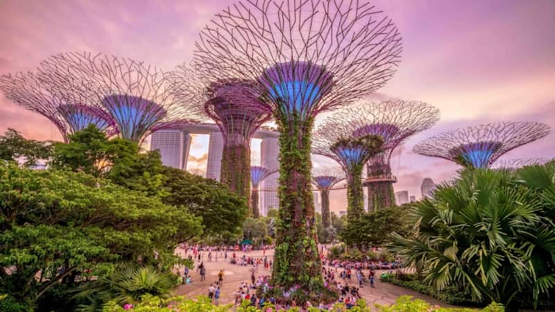 Gardens by the Bay