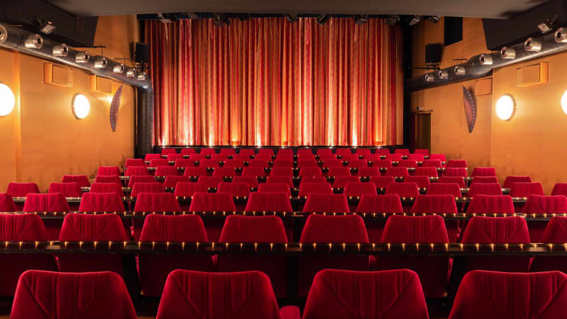Lichtspiel und Kunsttheater Schauburg