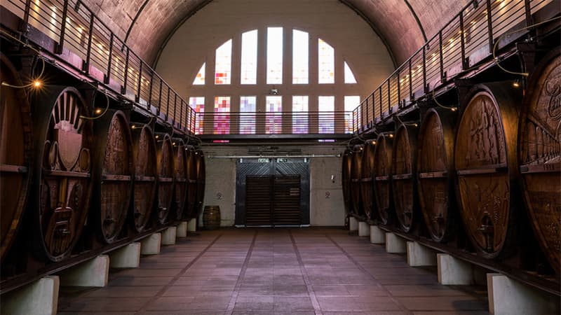 Cathedral Cellar
