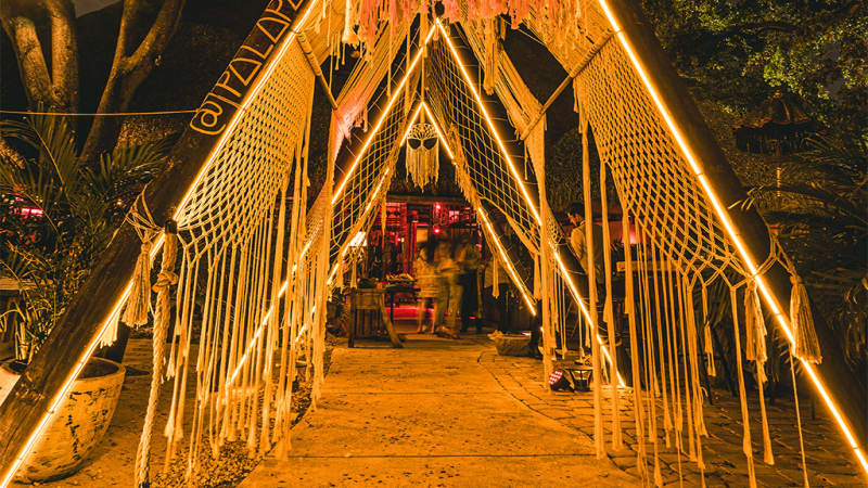Palapa