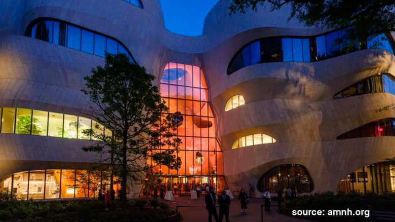 American Museum of Natural History (AMNH)