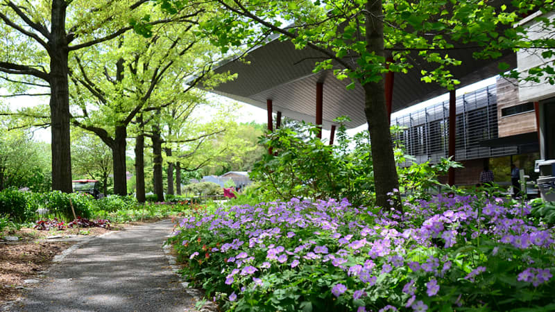 Queens Botanical Garden