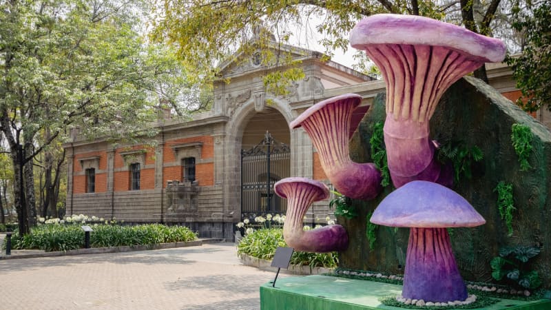 Bosque de Chapultepec