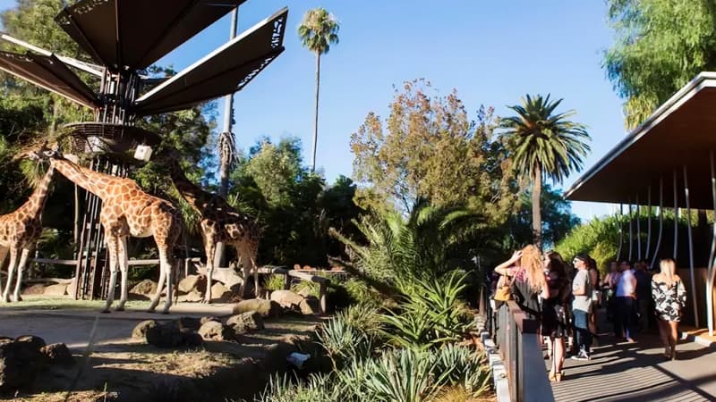 Melbourne Zoo
