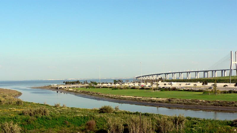 Tejo Park