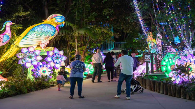 Jungle Island