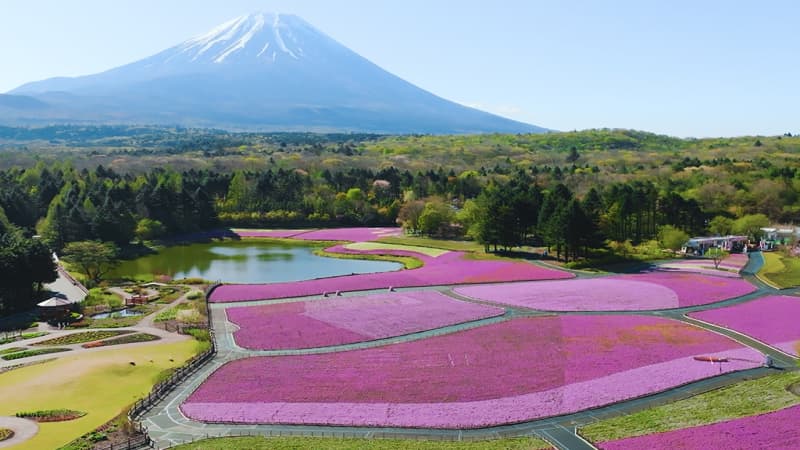 Fuji Motosuko Resort