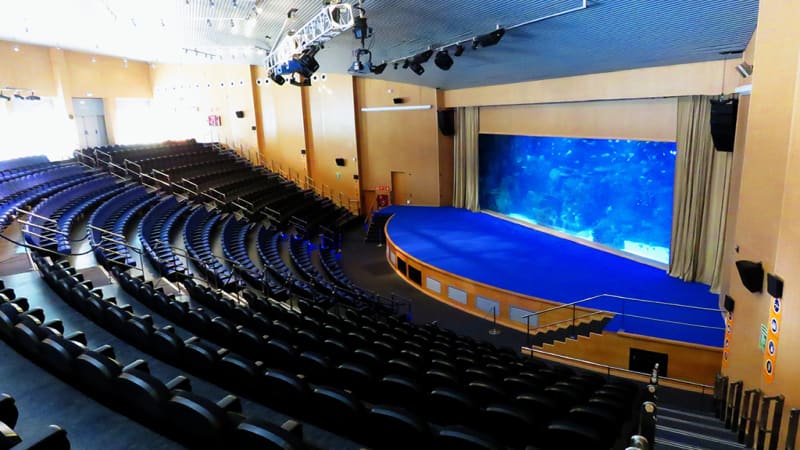 Auditorio Mar Rojo - Oceanogràfic València