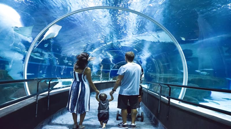 AquaRio
