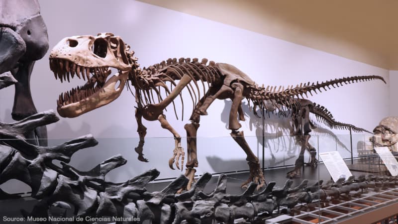 Museo Nazionale di Scienze Naturali