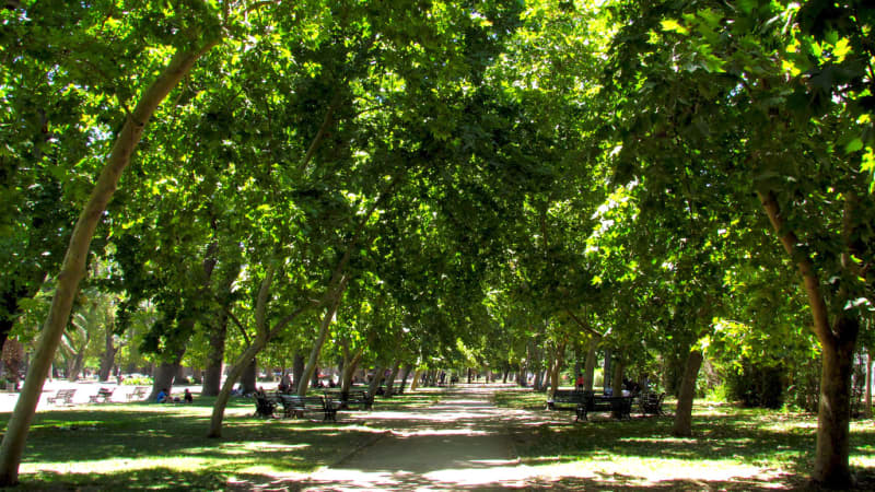 Parque Quinta Normal