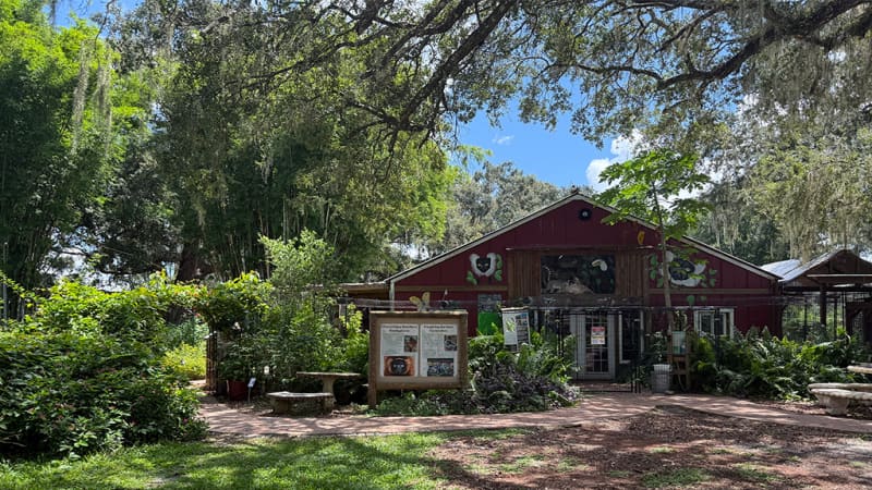 Chase Sanctuary and Wildlife Conservancy, 501-C(3)