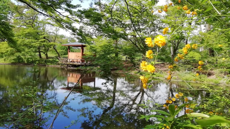 Kyoto Botanical Gardens