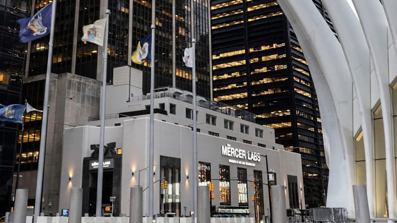 Mercer Labs