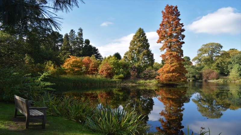 Royal Botanic Gardens, Kew