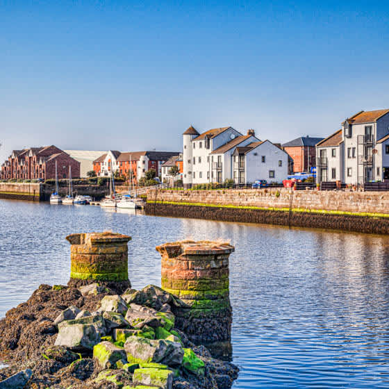 Events in Ayr & things to do | Fever