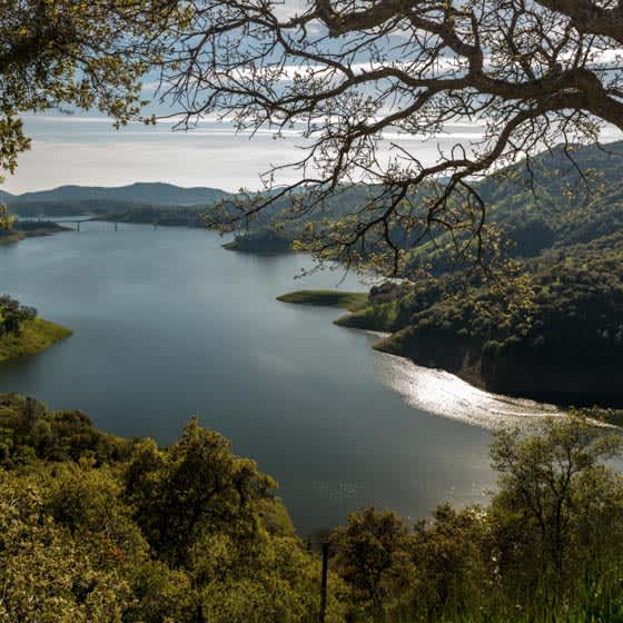 Events in Jamestown & Things to do | Fever