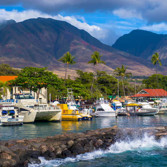 Events in Lahaina & Things to do | Fever