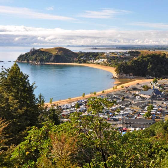 Events in Motueka & things to do Fever